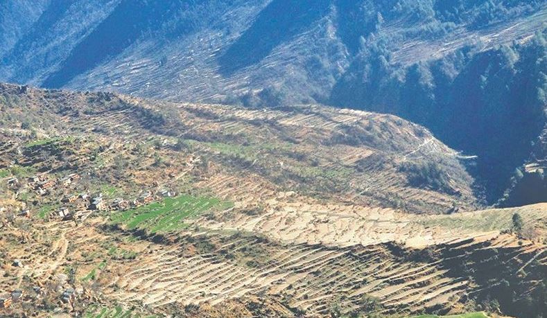 भू–उपयोग नीति हस्तान्तरण